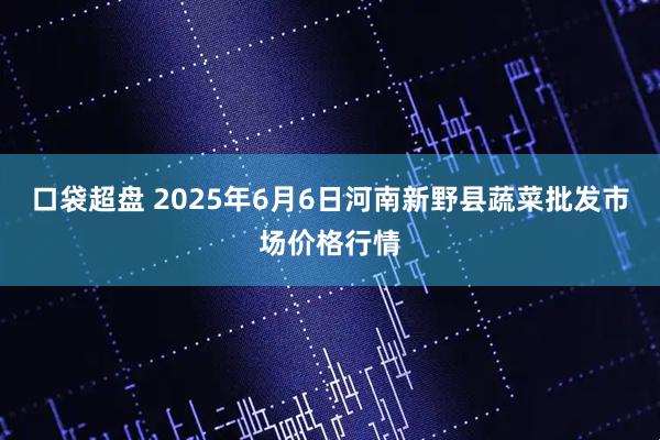 口袋超盘 2025年6月6日河南新野县蔬菜批发市场价格行情