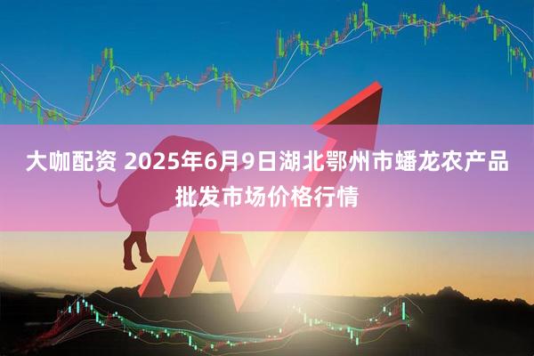 大咖配资 2025年6月9日湖北鄂州市蟠龙农产品批发市场价格行情