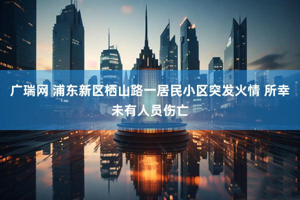 广瑞网 浦东新区栖山路一居民小区突发火情 所幸未有人员伤亡