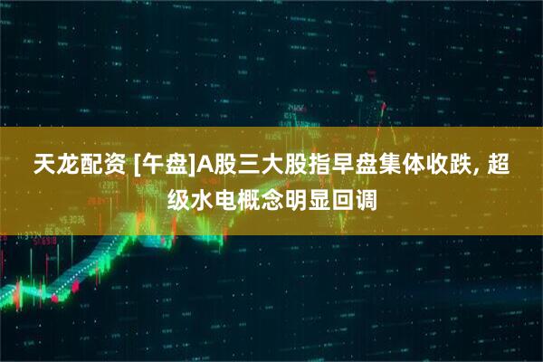 天龙配资 [午盘]A股三大股指早盘集体收跌, 超级水电概念明显回调