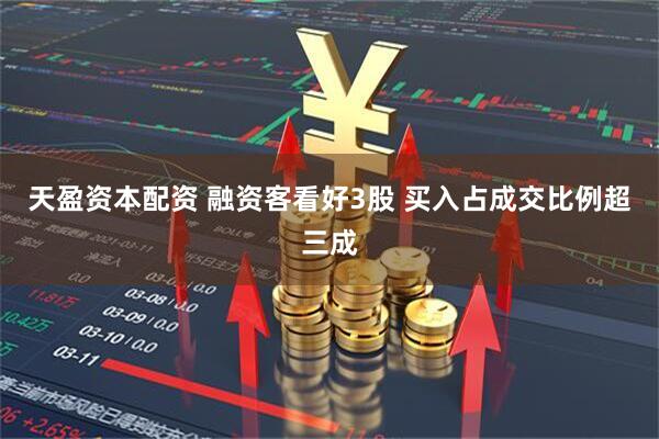 天盈资本配资 融资客看好3股 买入占成交比例超三成