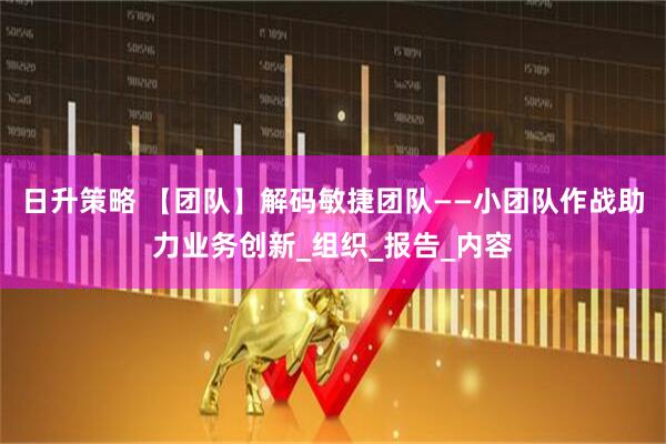 日升策略 【团队】解码敏捷团队——小团队作战助力业务创新_组织_报告_内容