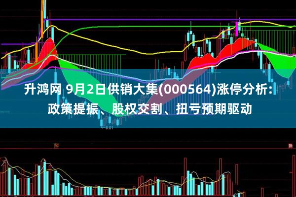 升鸿网 9月2日供销大集(000564)涨停分析: 政策提振、股权交割、扭亏预期驱动